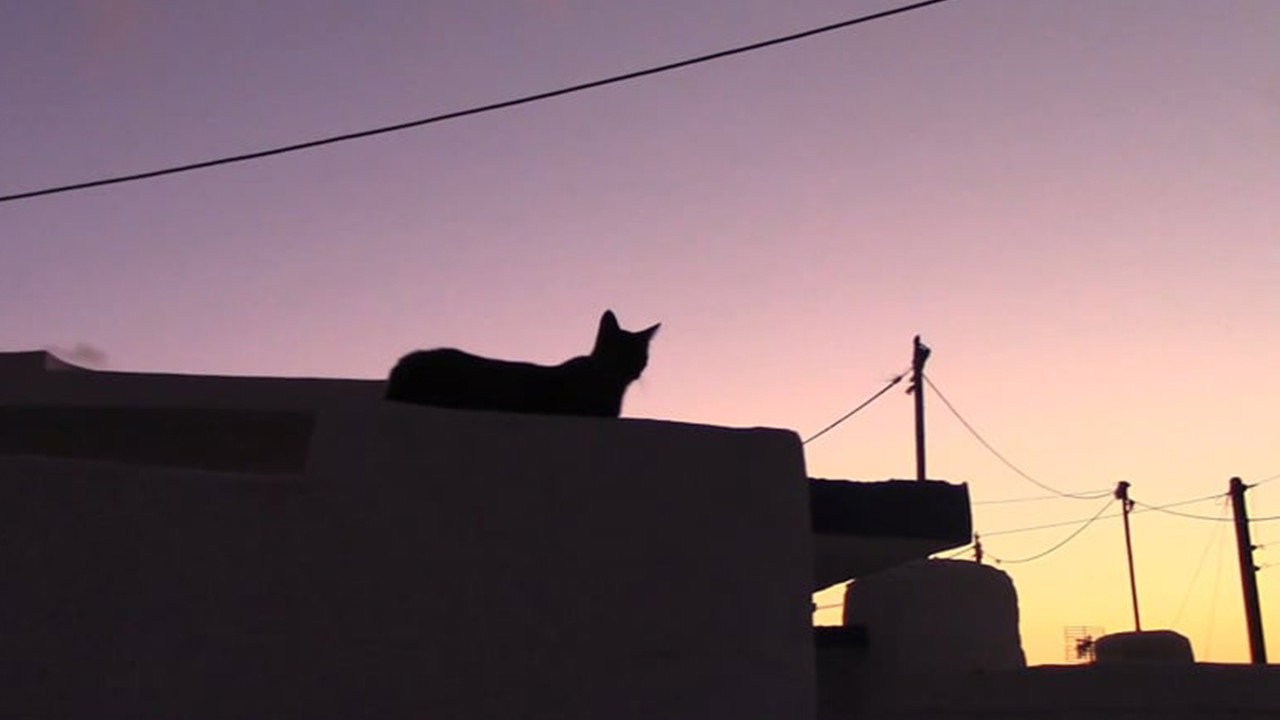 Léthé (2020) movie backdrop