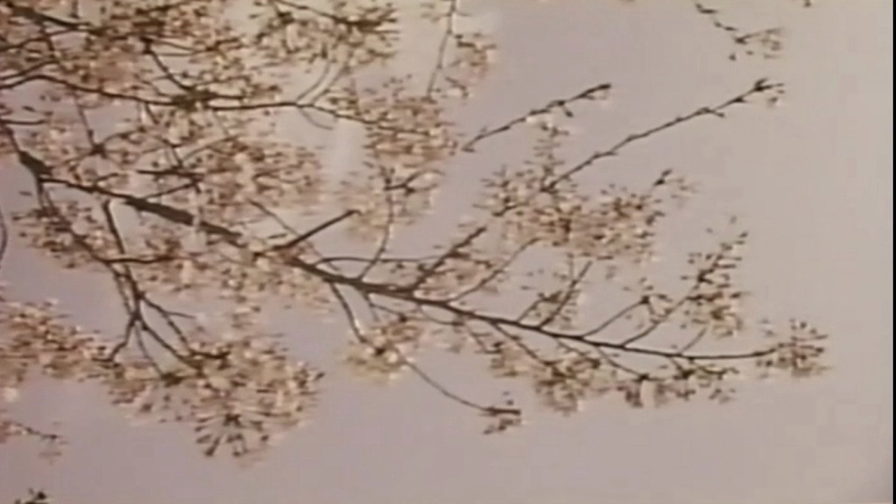 Wakaoku-sama: Futomono-biraki (1994) movie backdrop