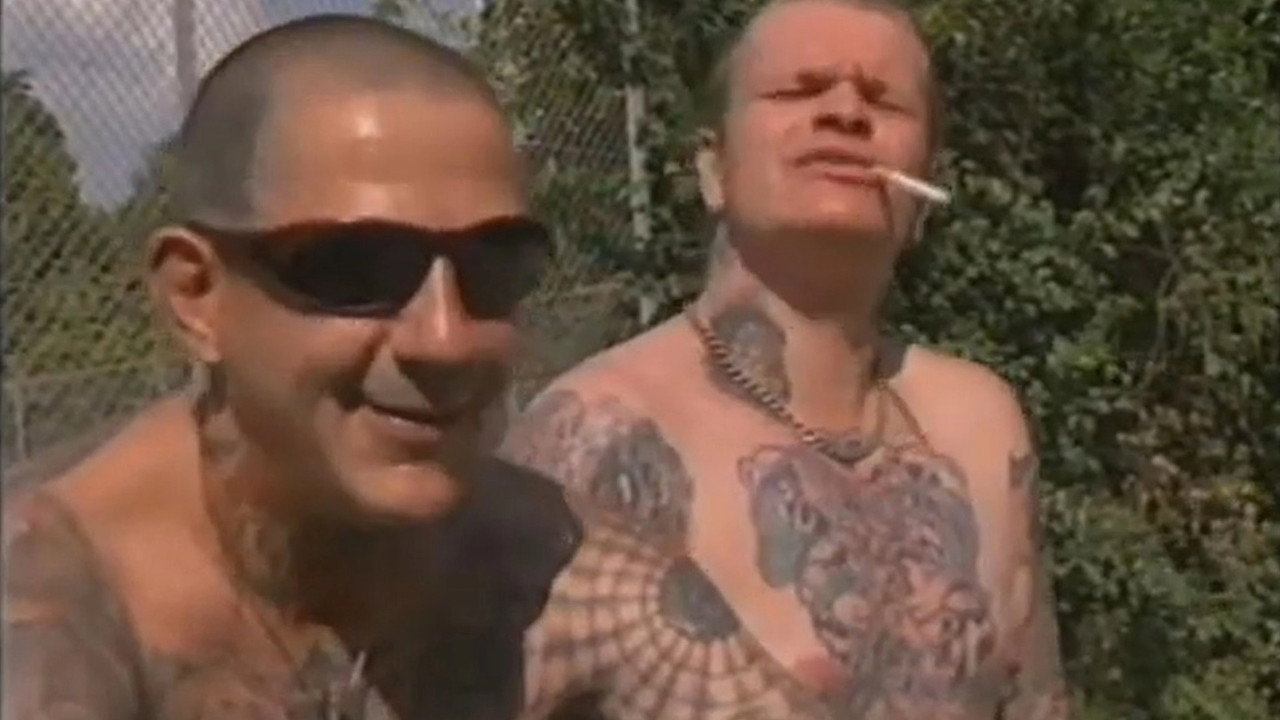 Nie wieder Arbeit - Die APPD, der legale Arm der Chaos-Tage? (1998) movie backdrop