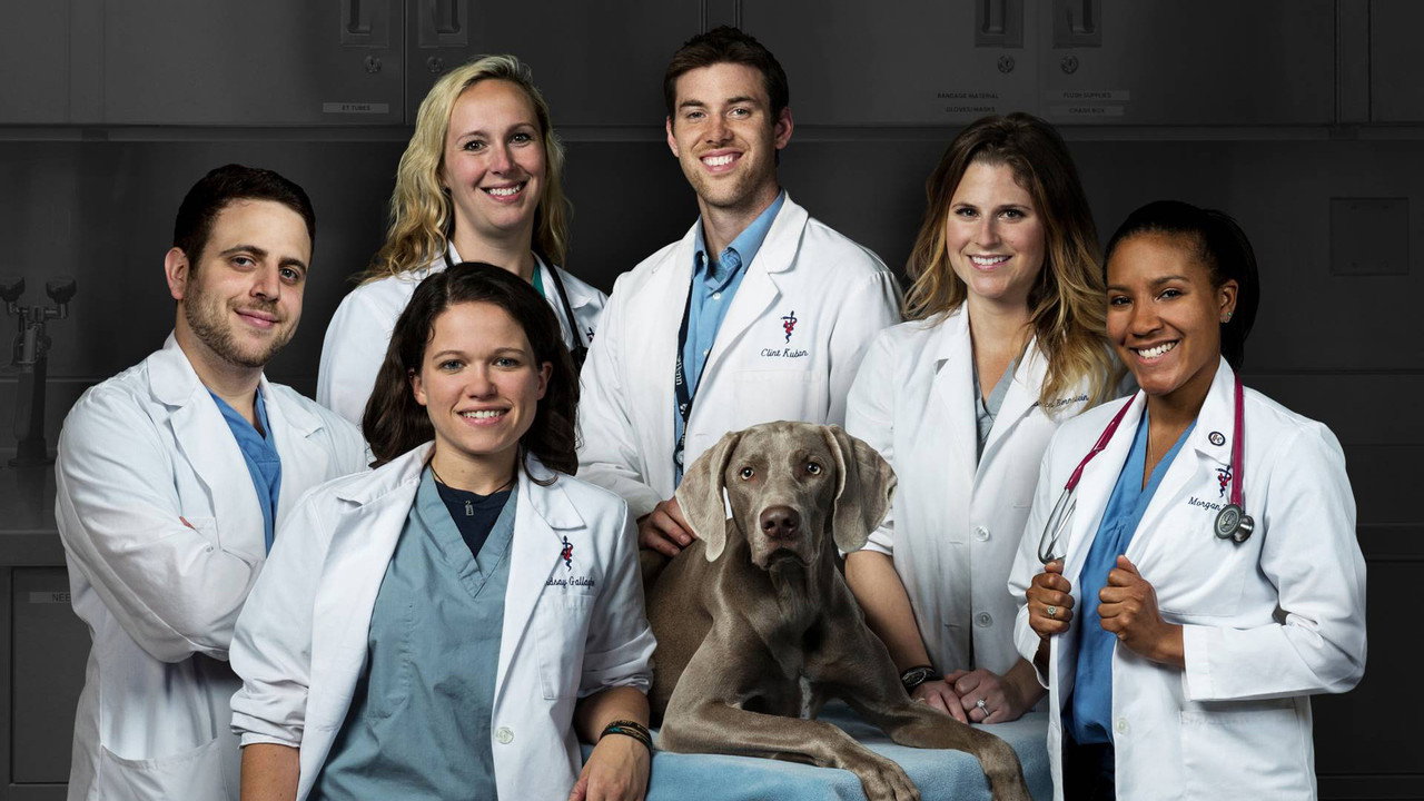 Life at Vet U (2016) TV show backdrop