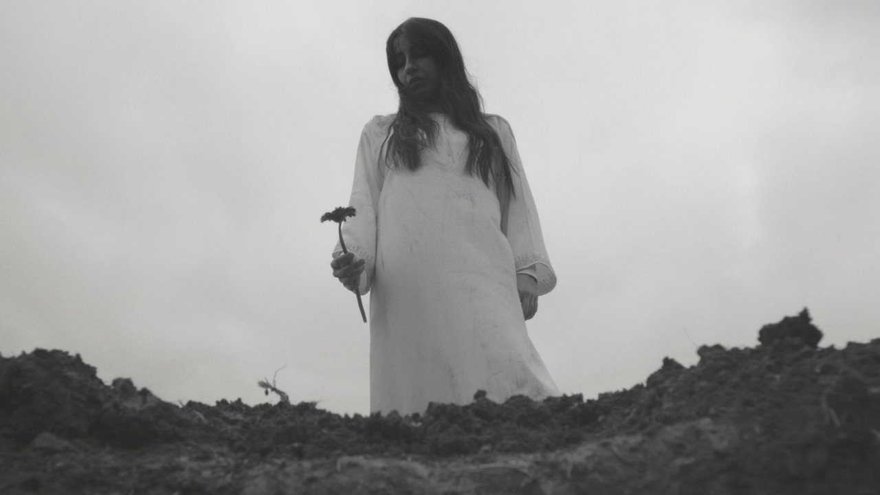 Nameless Flower (2026) movie backdrop