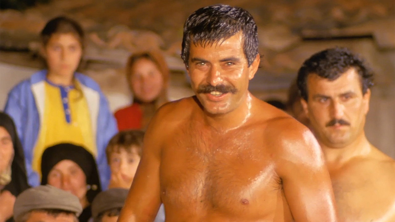 The Wrestler (1984) movie backdrop