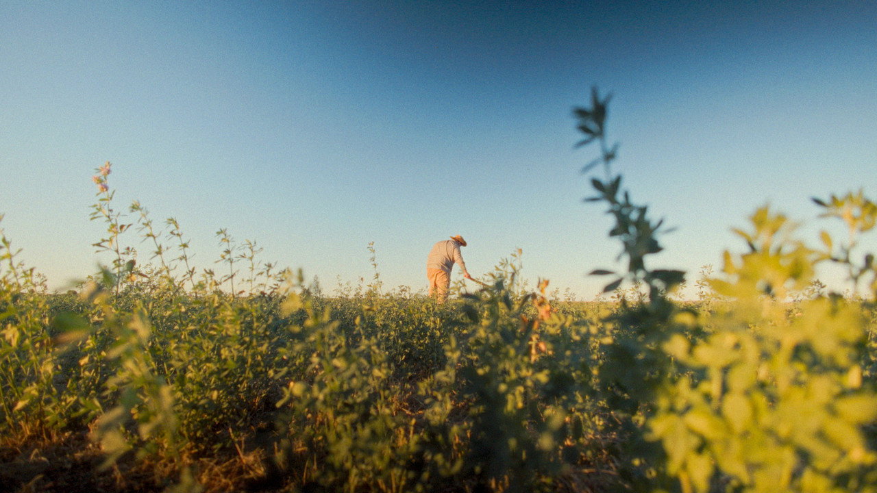 Cien Años (2024) movie backdrop