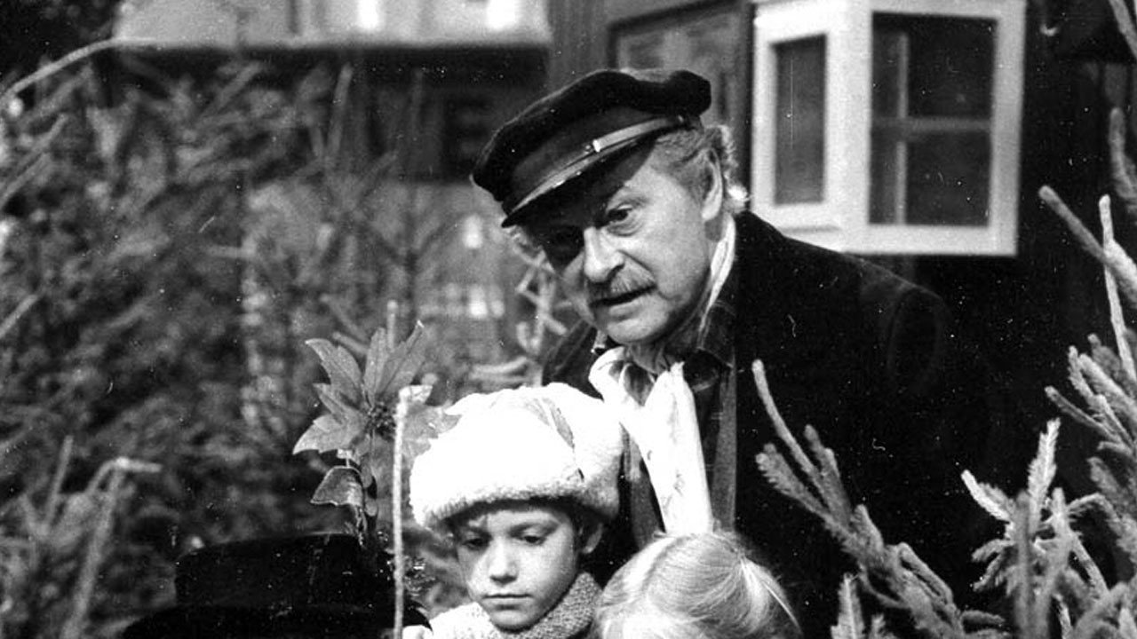 Torvet (1981) TV show backdrop
