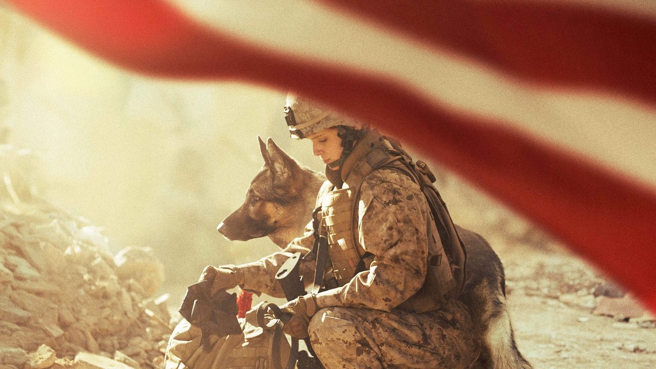 Megan Leavey (2017) movie backdrop