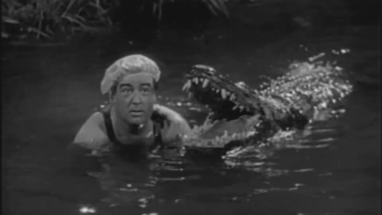 Africa Screams (1949) movie backdrop