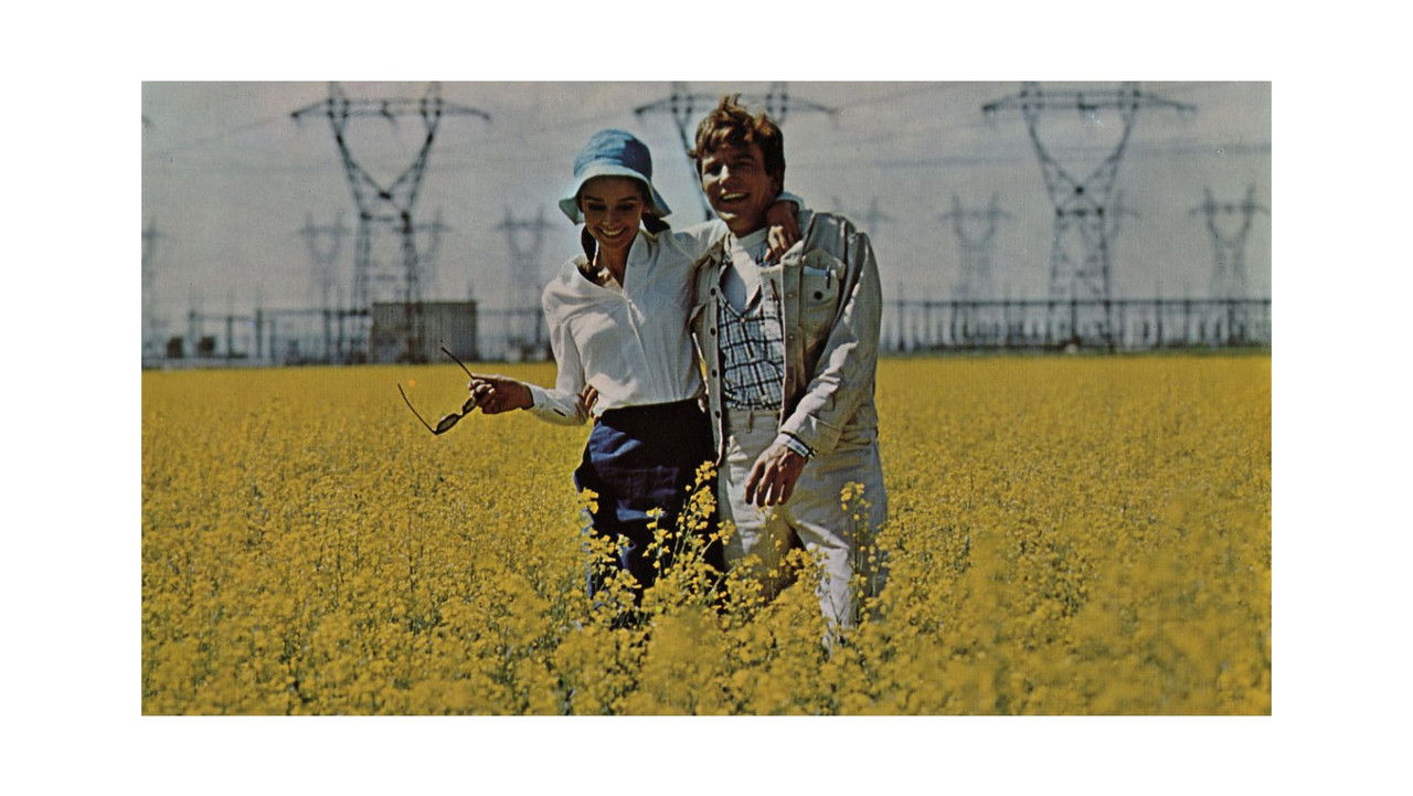 Two for the Road (1967) movie backdrop