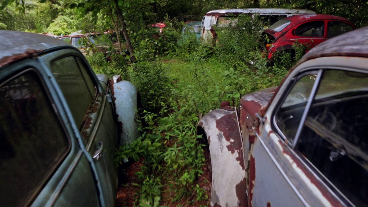 The Bug: Life and Times of the People's Car (2016) movie backdrop