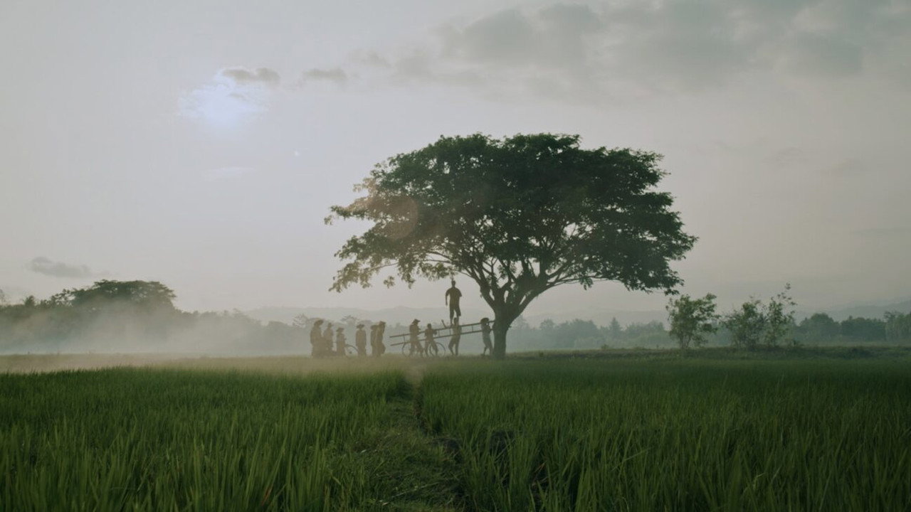 The Hole, 309 Days to the Bloodiest Tragedy (2026) movie backdrop