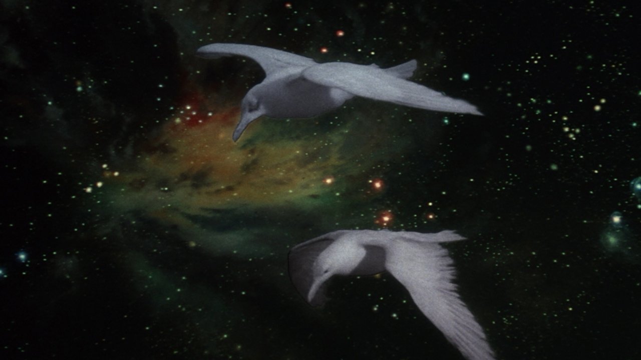 Jonathan Livingston Seagull (1973) movie backdrop