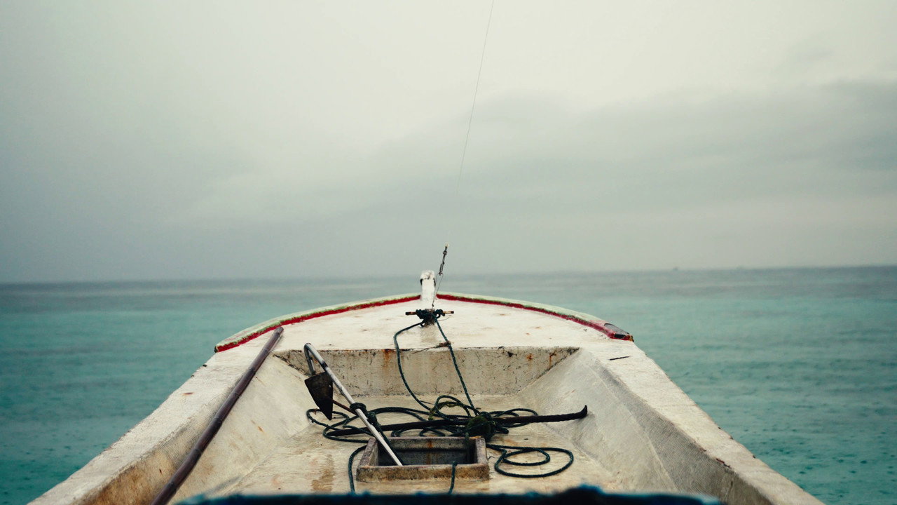 Echoes From Fading Island (2025) movie backdrop