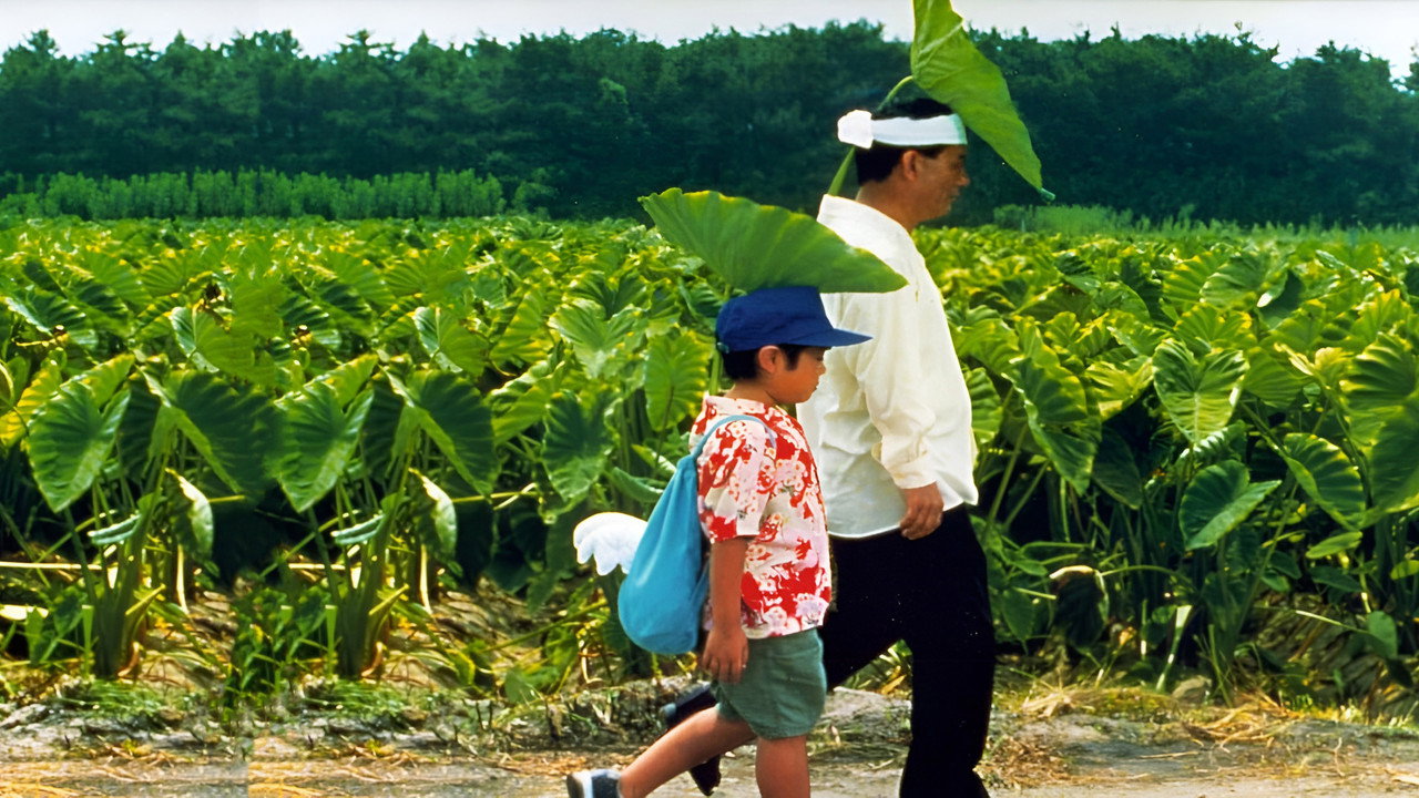 Kikujiro (1999) movie backdrop