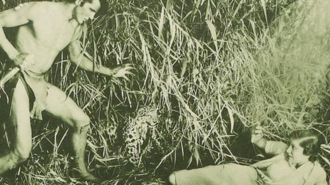 The New Adventures of Tarzan (1935) movie backdrop
