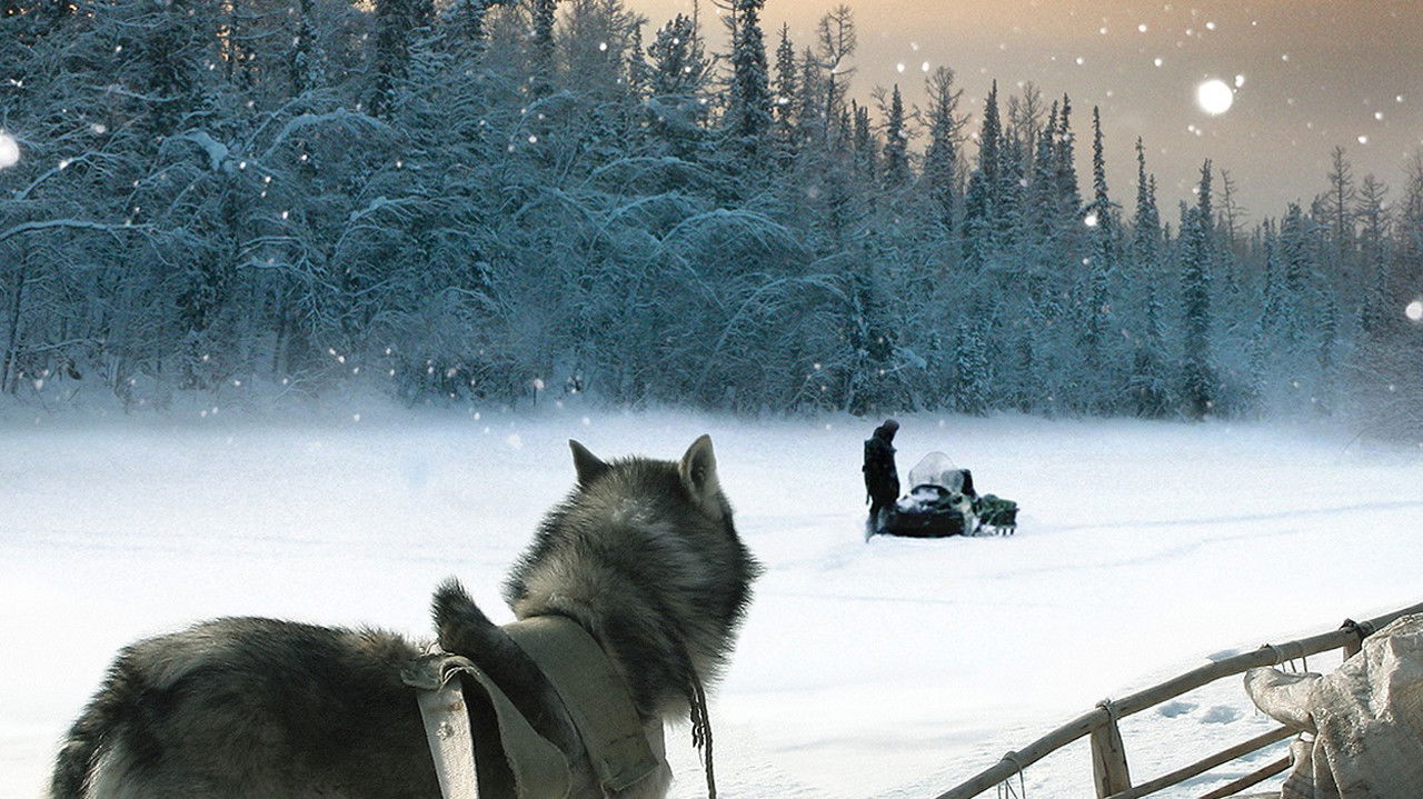 Happy People: A Year in the Taiga (2010) movie backdrop