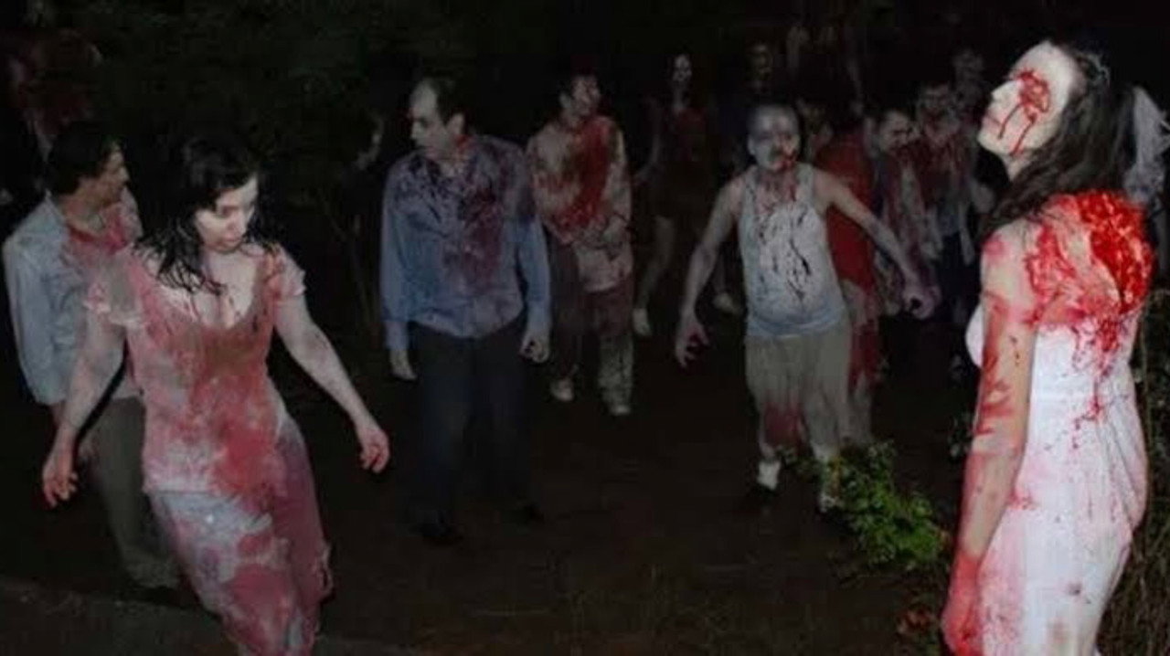 Island: Wedding of the Zombies (2010) movie backdrop