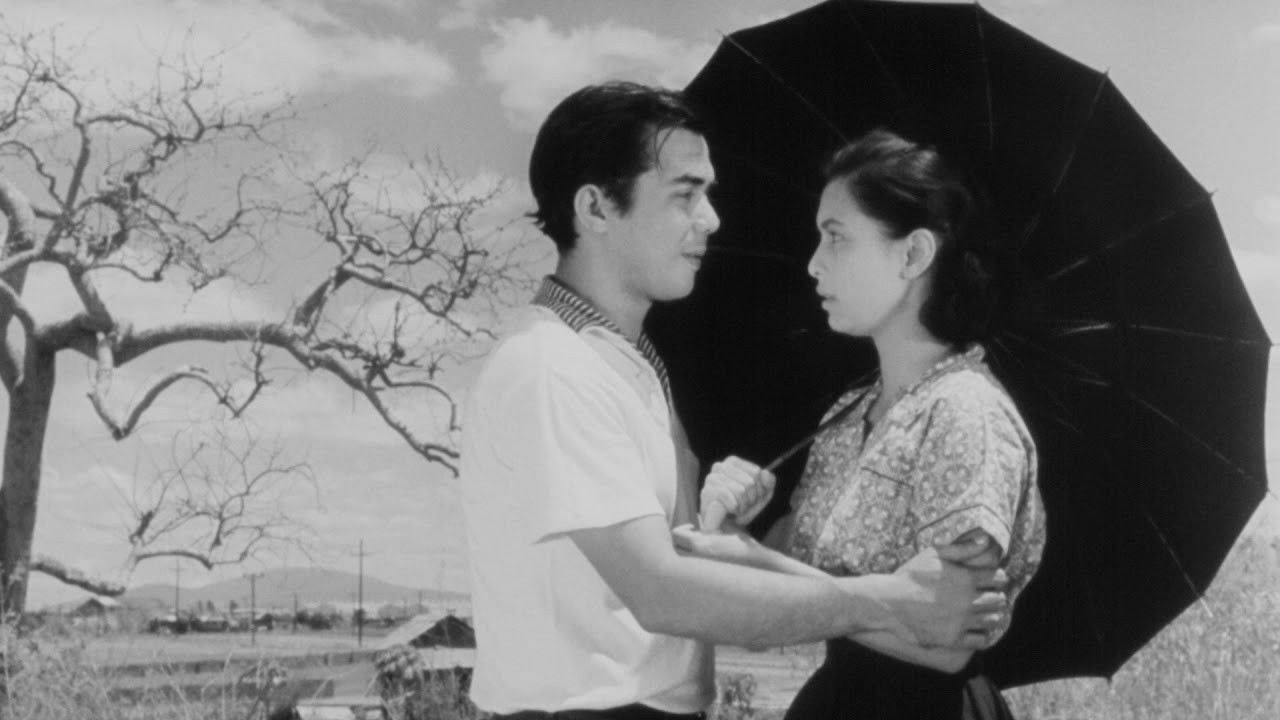 Malvarosa (1958) movie backdrop