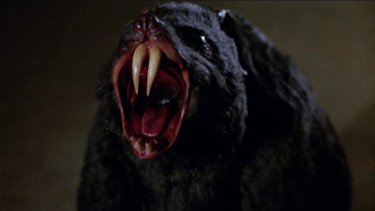 Deadly Eyes (1982) movie backdrop