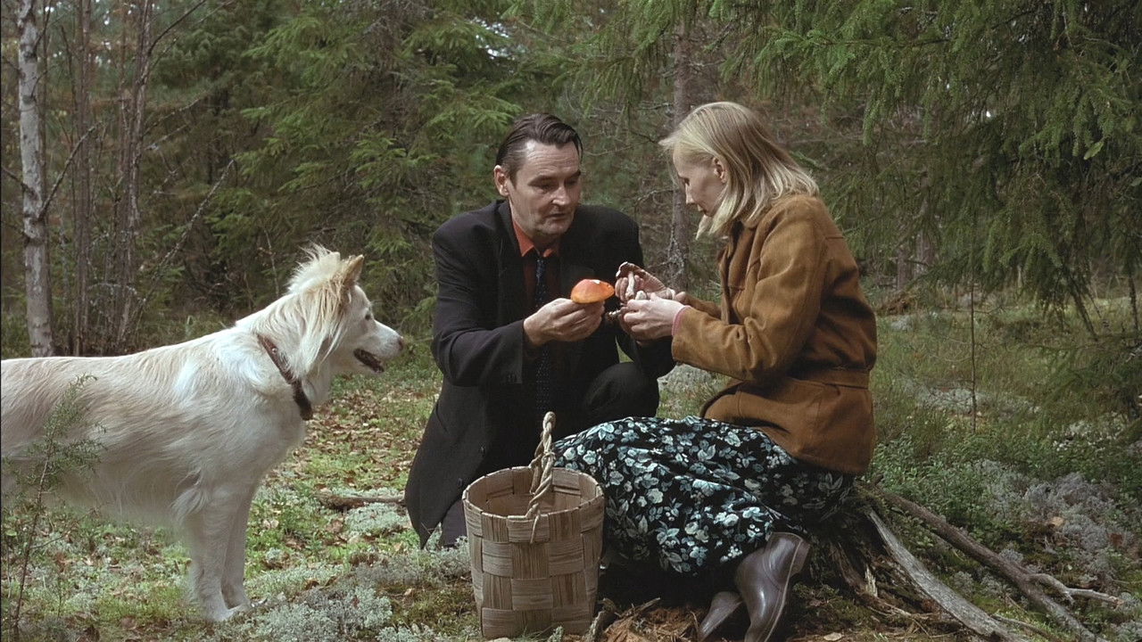 The Man Without a Past (2002) movie backdrop