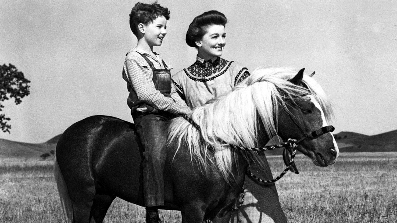 The Red Pony (1949) movie backdrop
