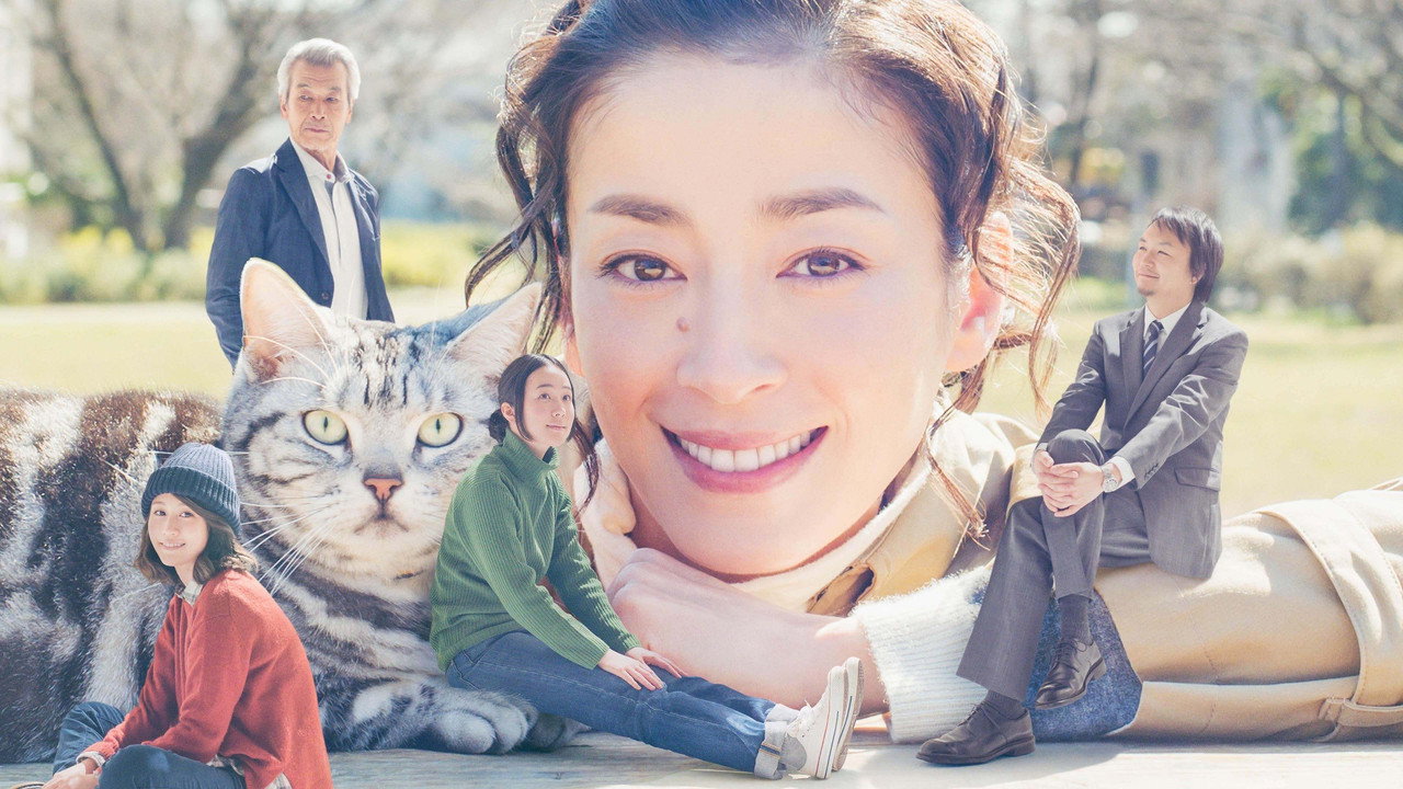 Gu Gu the Cat (2014) TV show backdrop