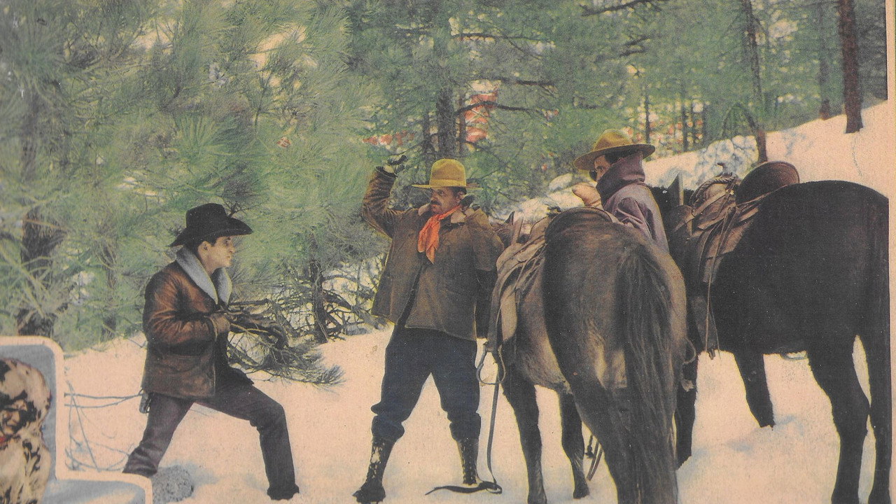 Trailing North (1933) movie backdrop