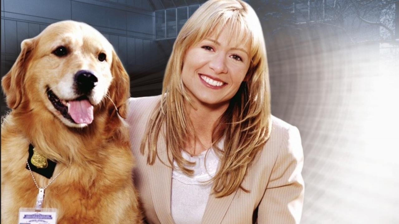 Sue Thomas: F.B.Eye (2002) TV show backdrop
