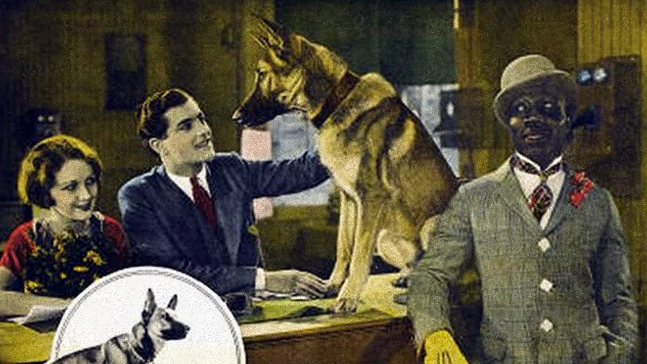 The Outlaw Dog (1927) movie backdrop