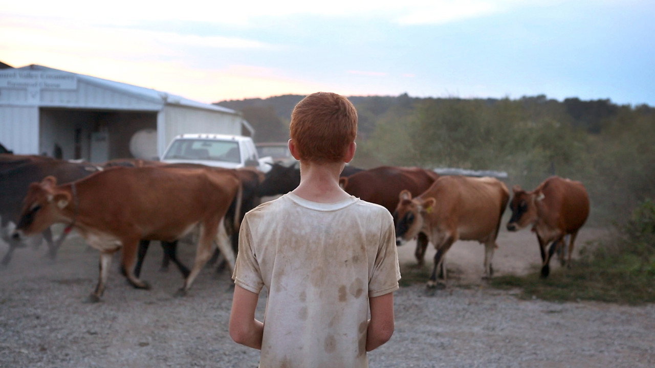 Farmsteaders (2018) movie backdrop