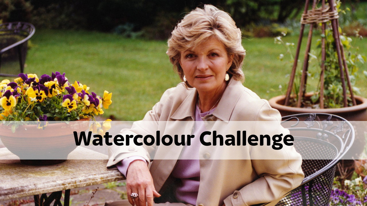Watercolour Challenge (1998) TV show backdrop
