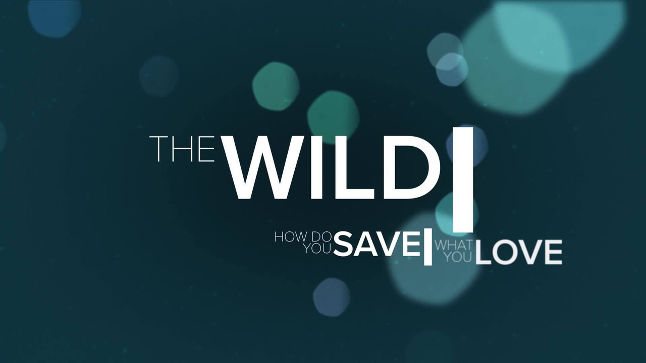 The Wild (2019) movie backdrop