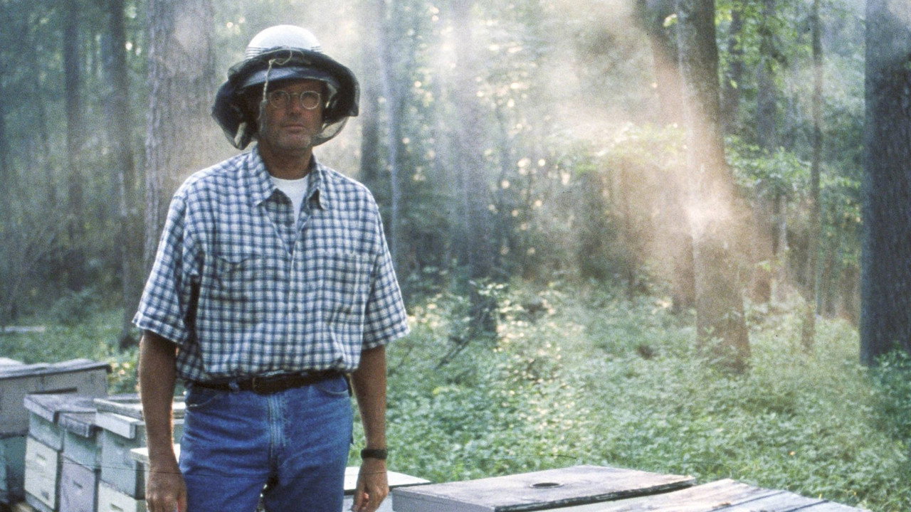 Ulee s Gold (1997) movie backdrop