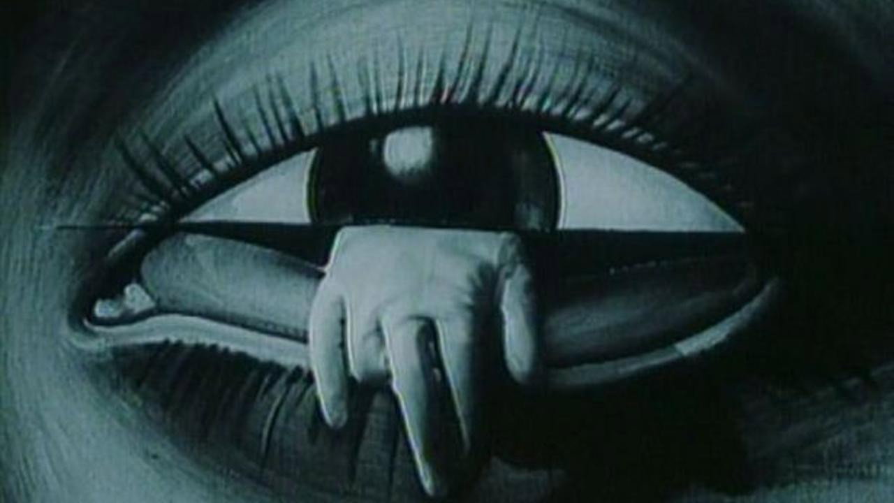 The Vanished World of Gloves (1982) movie backdrop