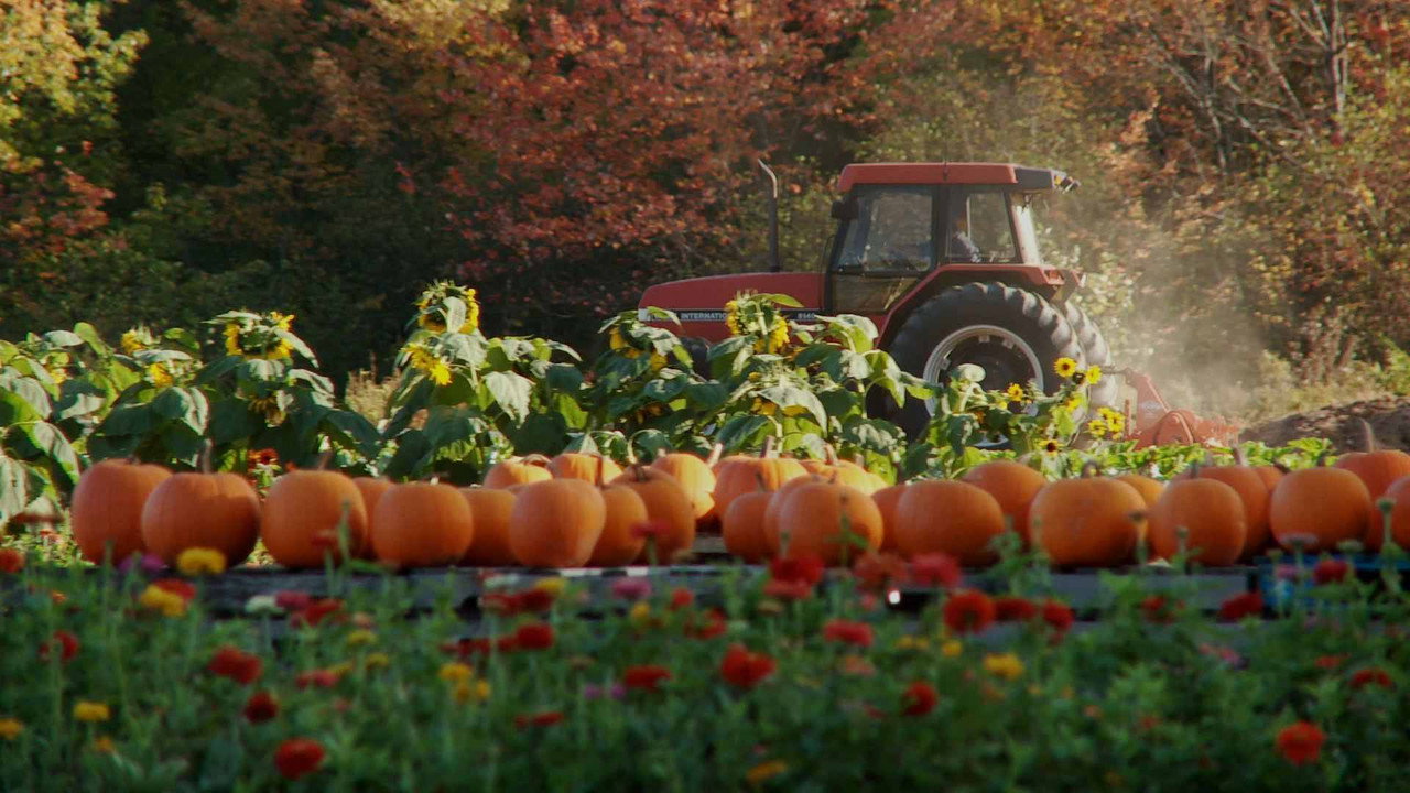 Farmageddon (2011) movie backdrop