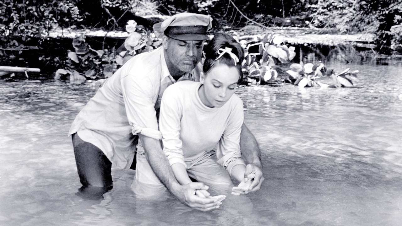 Father Goose (1964) movie backdrop