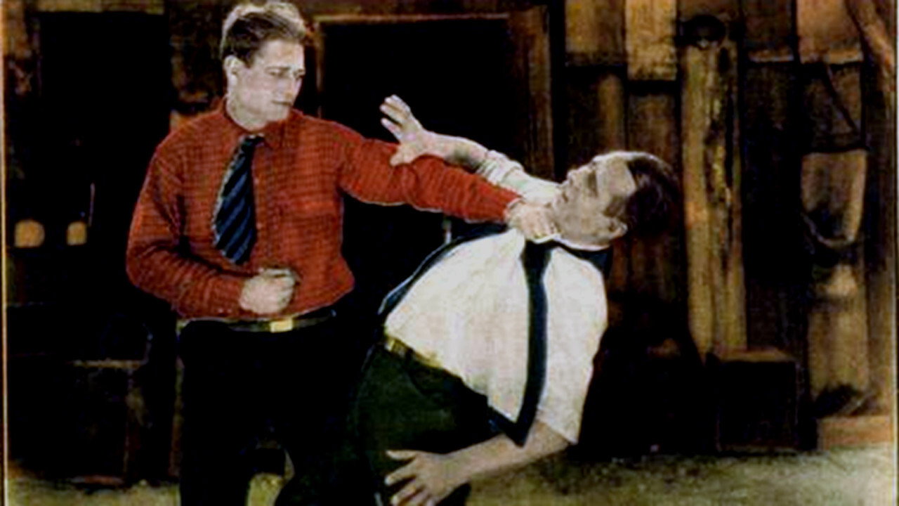 The Silent Guardian (1925) movie backdrop
