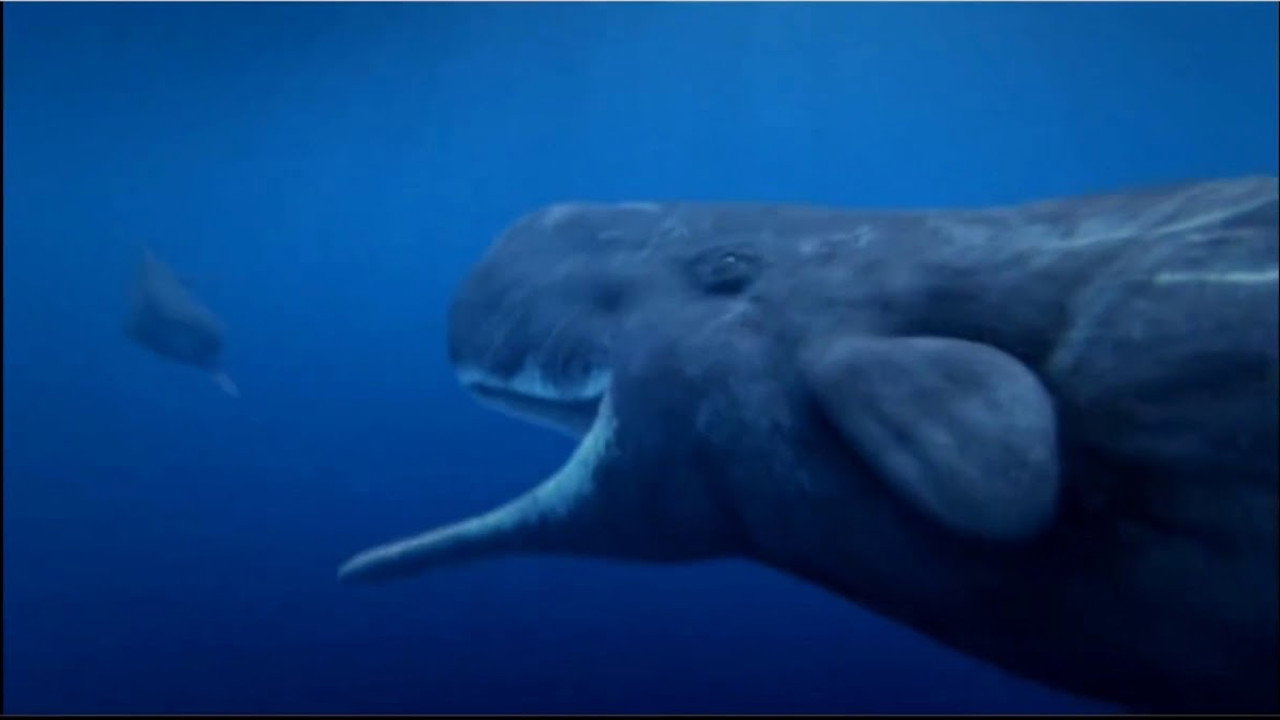 Ocean Odyssey (2006) movie backdrop