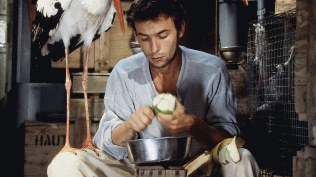 Comme une bête (1998) movie backdrop