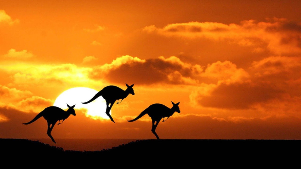 Australia: Land Beyond Time (2002) movie backdrop