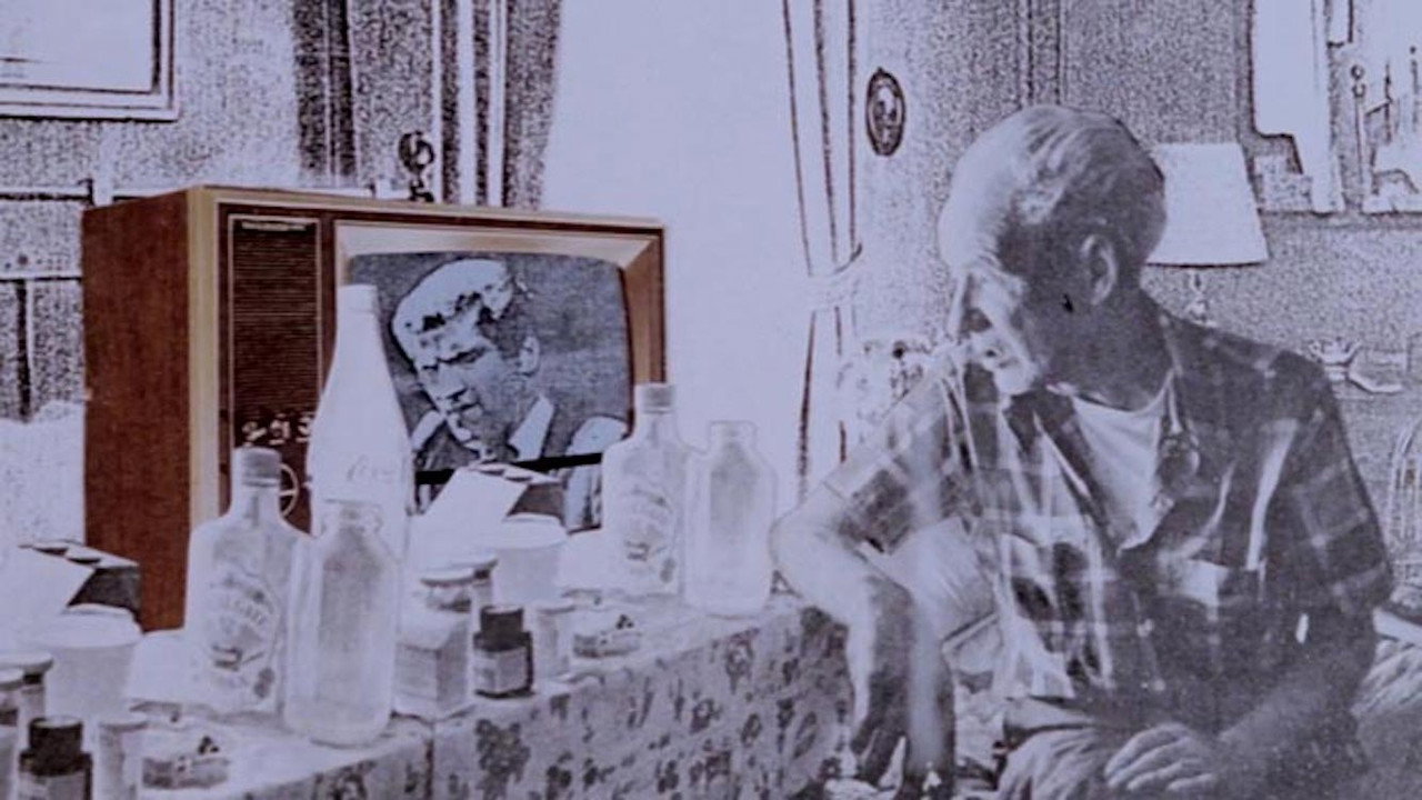 The Bronswik Affair (1978) movie backdrop