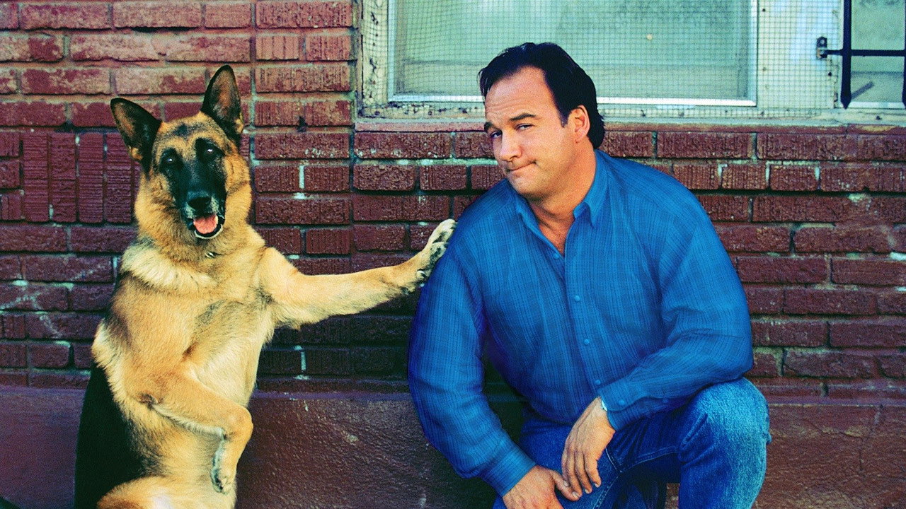 K-911 (1999) movie backdrop