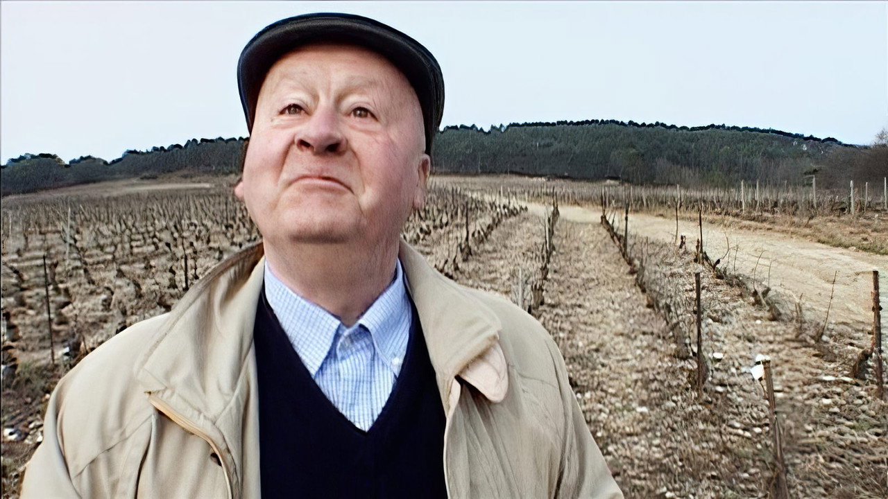 Mondovino (2004) movie backdrop