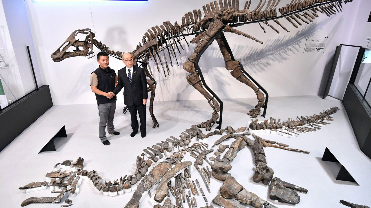 Discovery of the Century — The Great Dinosaur of Japan (2018) movie backdrop