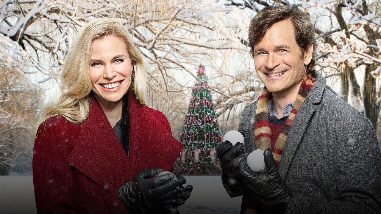 Christmas Connection (2017) movie backdrop