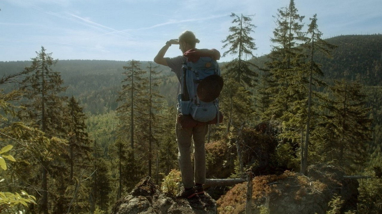 The Wild Forest (2021) movie backdrop