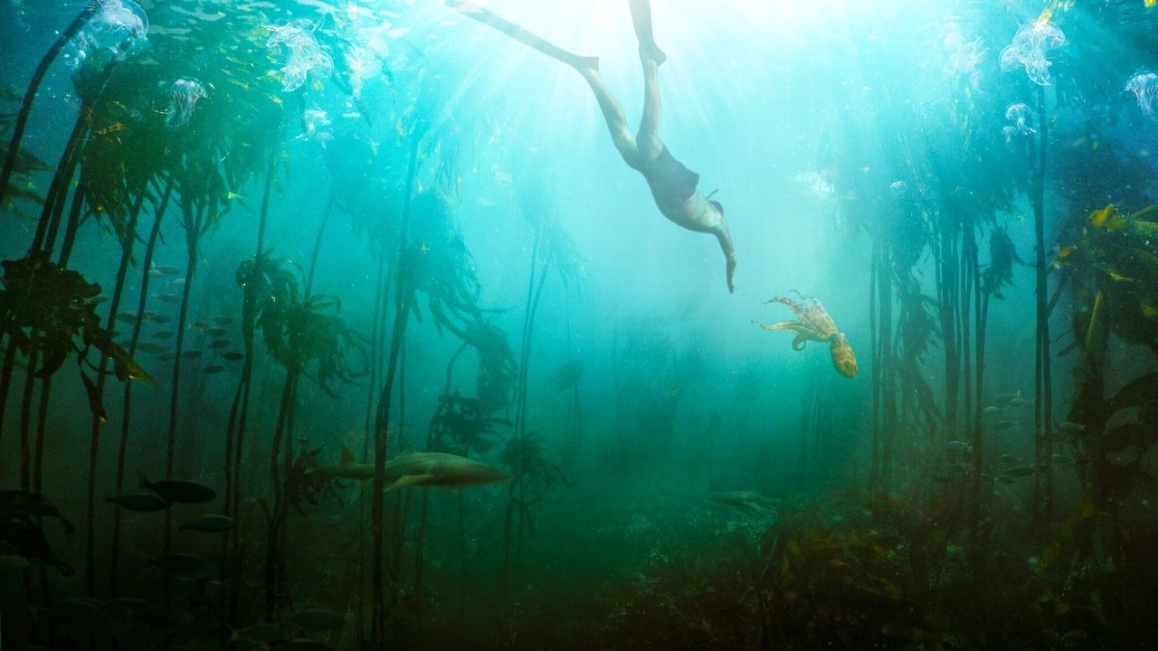 My Octopus Teacher (2020) movie backdrop