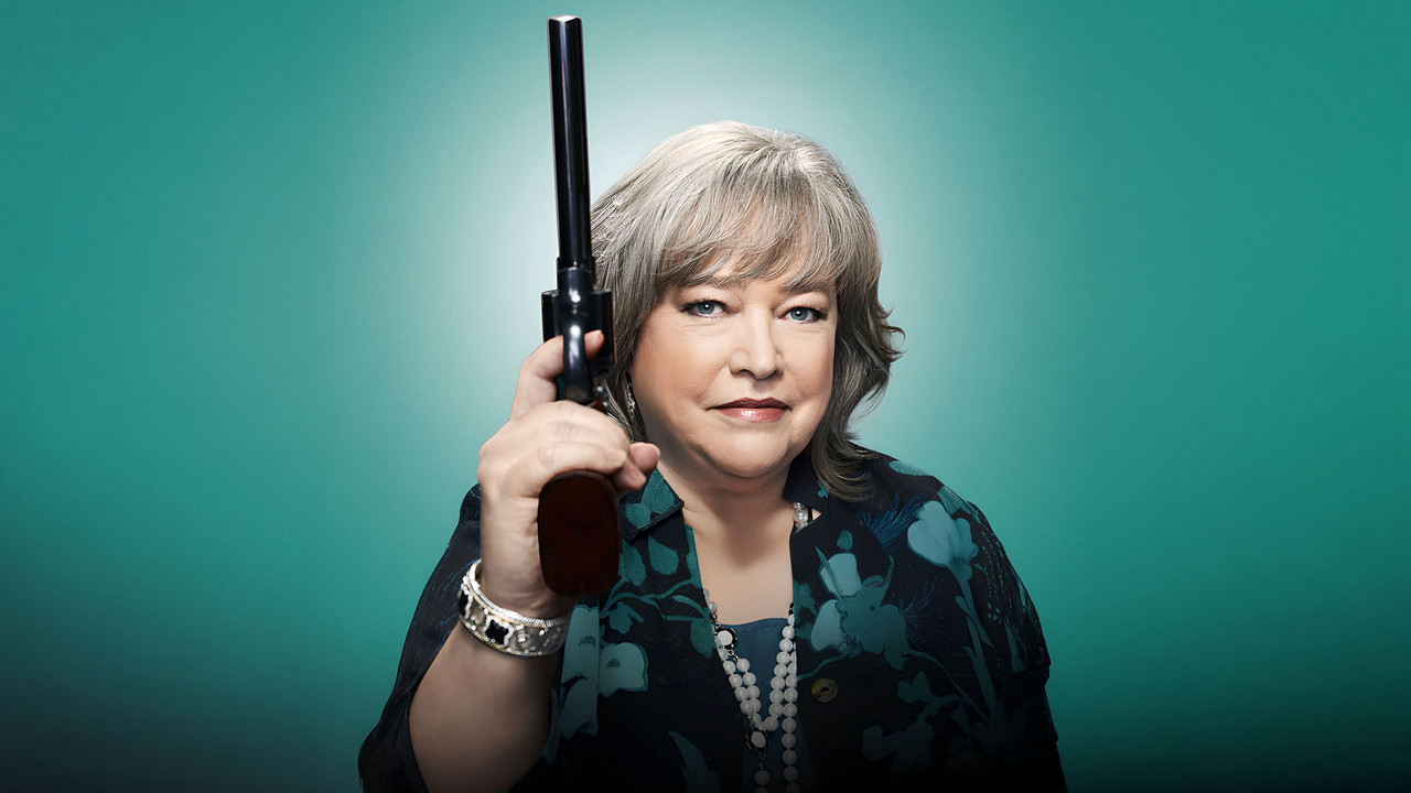 Harry's Law (2011) TV show backdrop