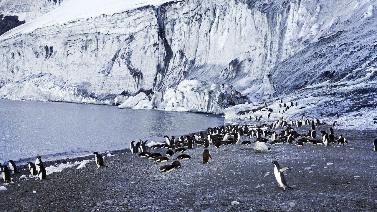 Antarctica: The Frozen Time (2021) movie backdrop