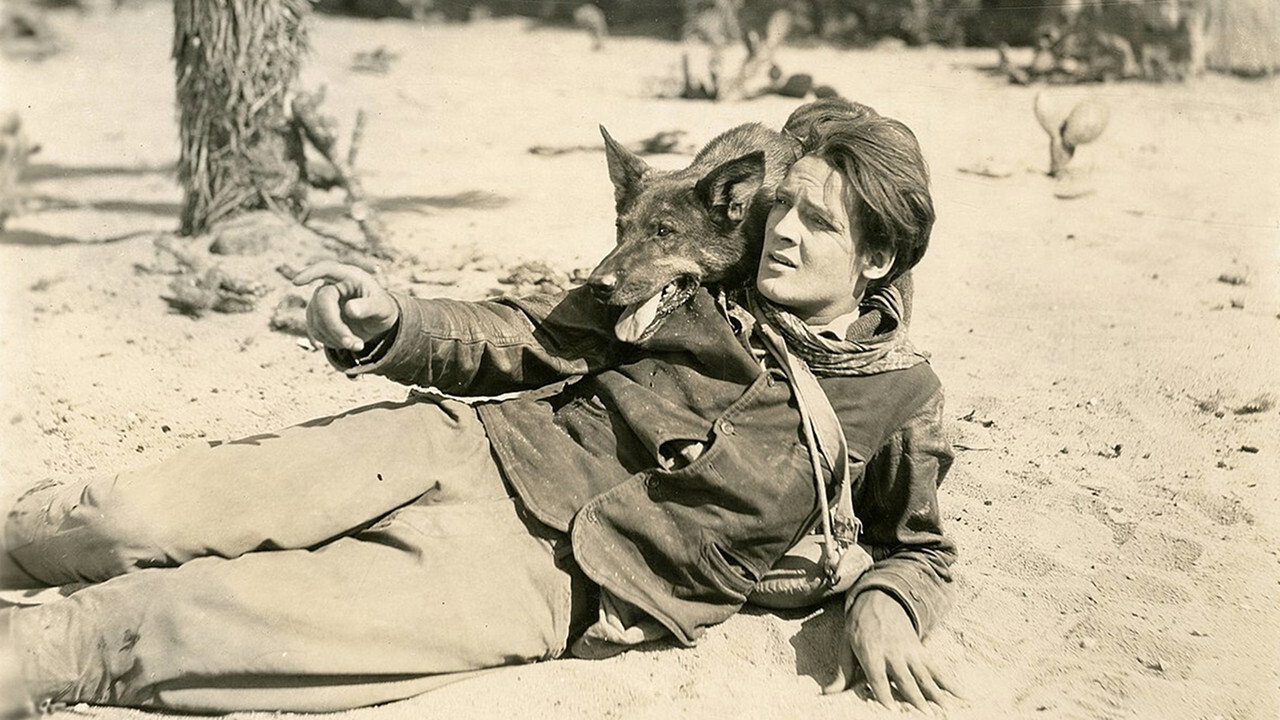 Clash of the Wolves (1925) movie backdrop