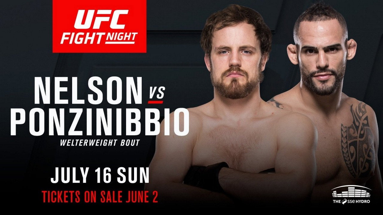 UFC Fight Night 113: Nelson vs. Ponzinibbio (2017) movie backdrop