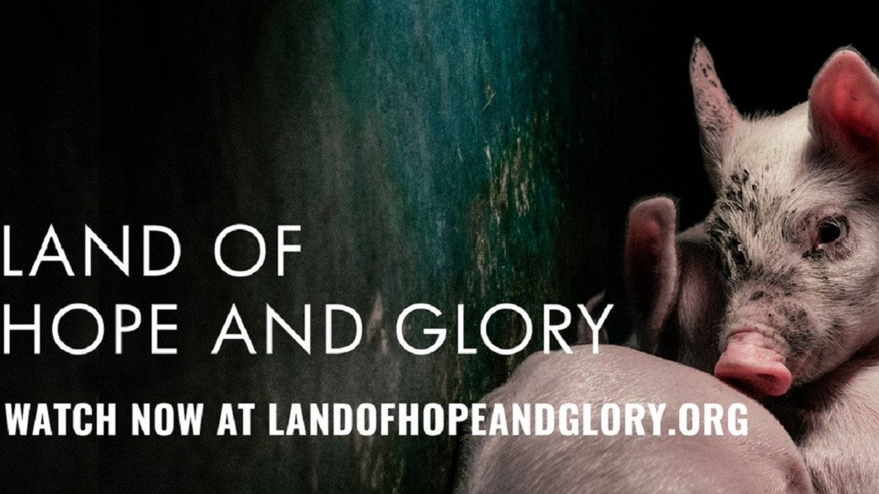Land of Hope and Glory (2017) movie backdrop